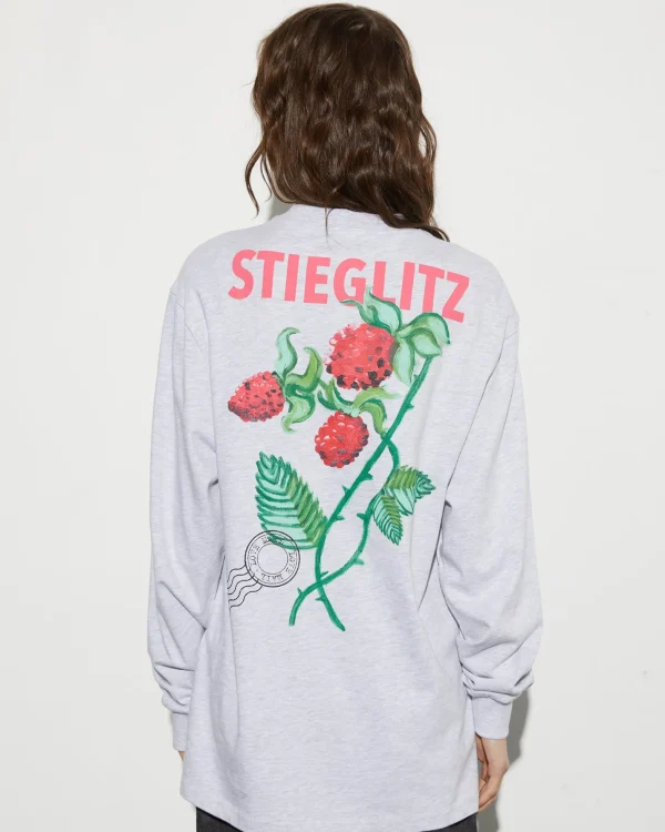 STIEGLITZ Tereza Skate Longsleeve | Melange Grey^DAMES Longsleeves, Blouses & Pullis