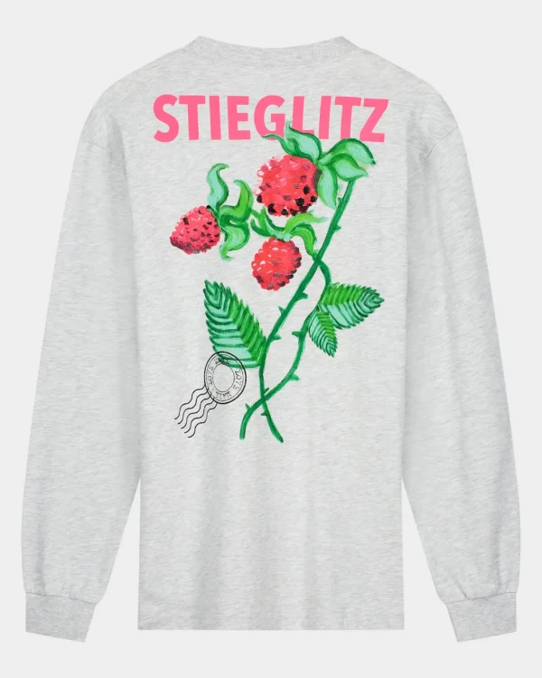 STIEGLITZ Tereza Skate Longsleeve | Melange Grey^DAMES Longsleeves, Blouses & Pullis